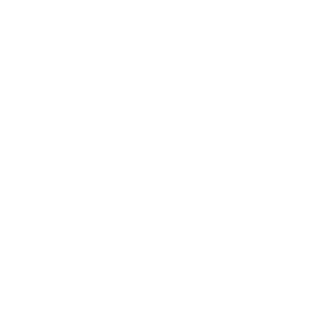 audi.png