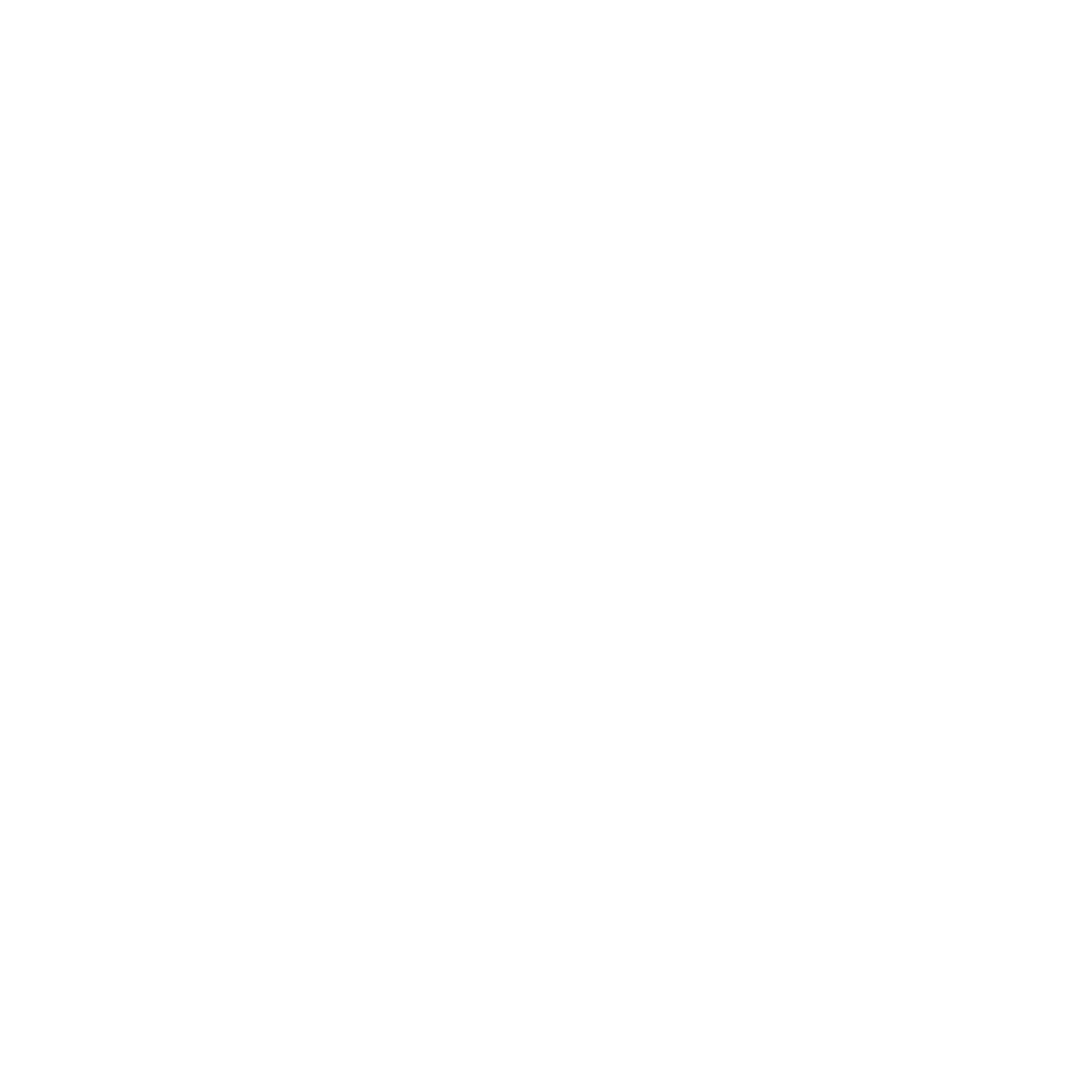 volkswagen.png